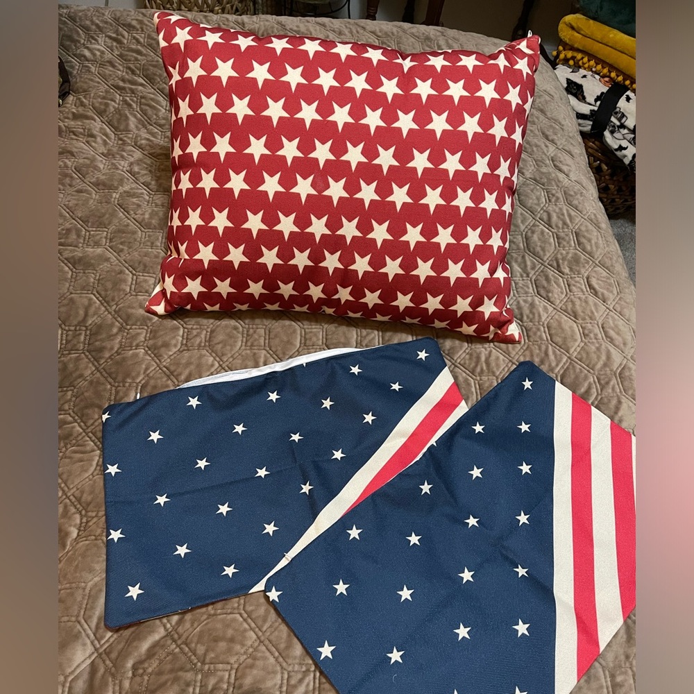 Brand new, never used Americana pillow and Covers.